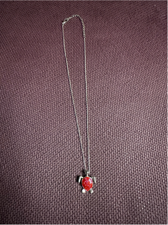 Unbranded Jewelry - Silver and Red Turtle Necklace
